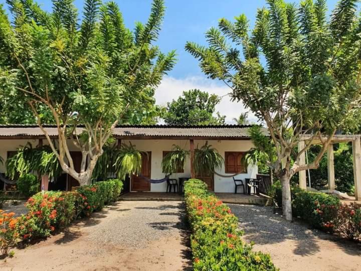 Hostal La Finquita Palomino Bagian luar foto