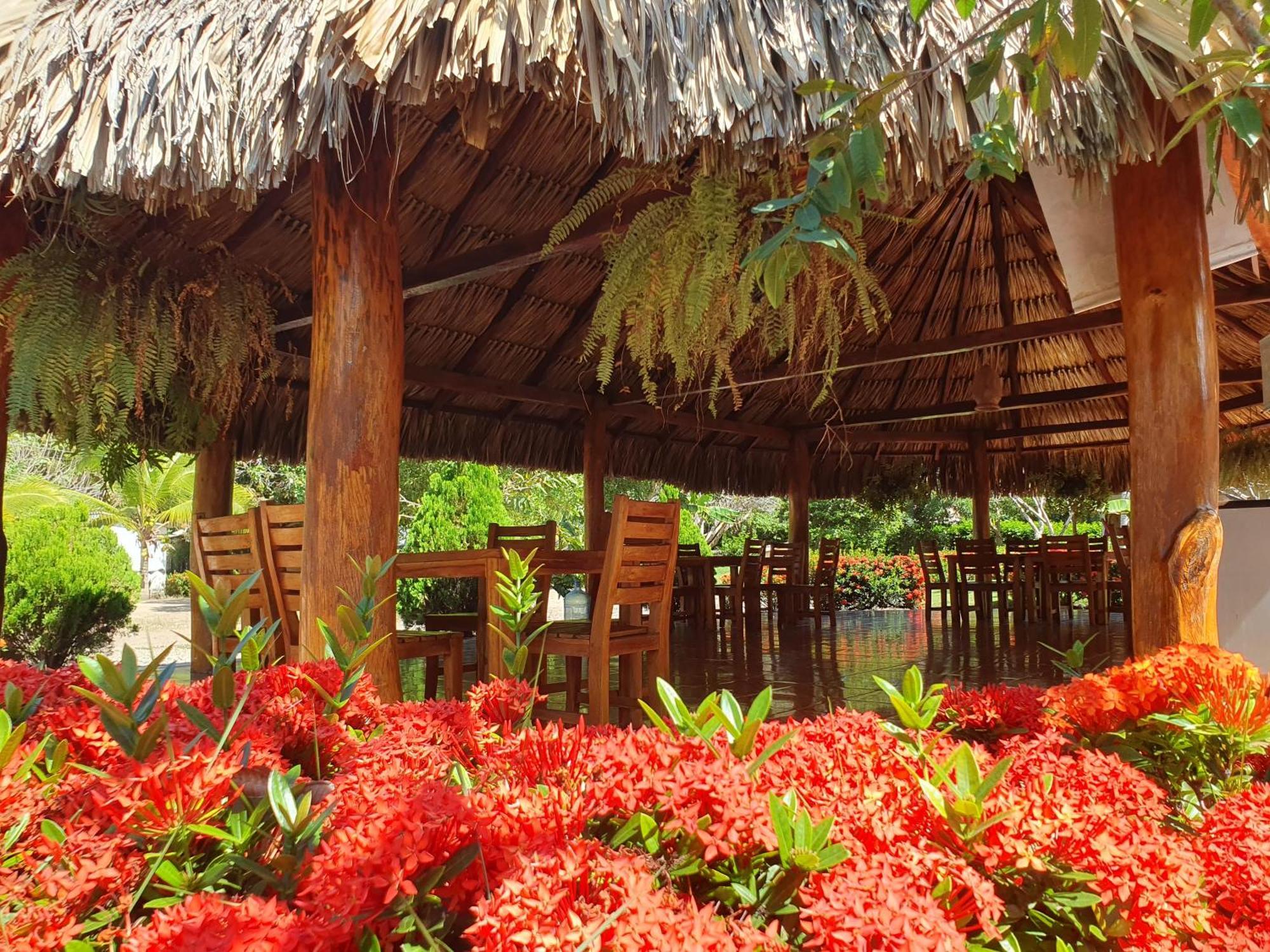 Hostal La Finquita Palomino Bagian luar foto